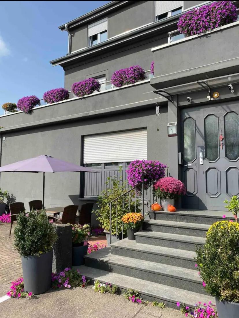 Guenstige Zimmer-Unterkunft Zimmer Mit Gemeinschaftsbad Lörrach Zewnętrze zdjęcie