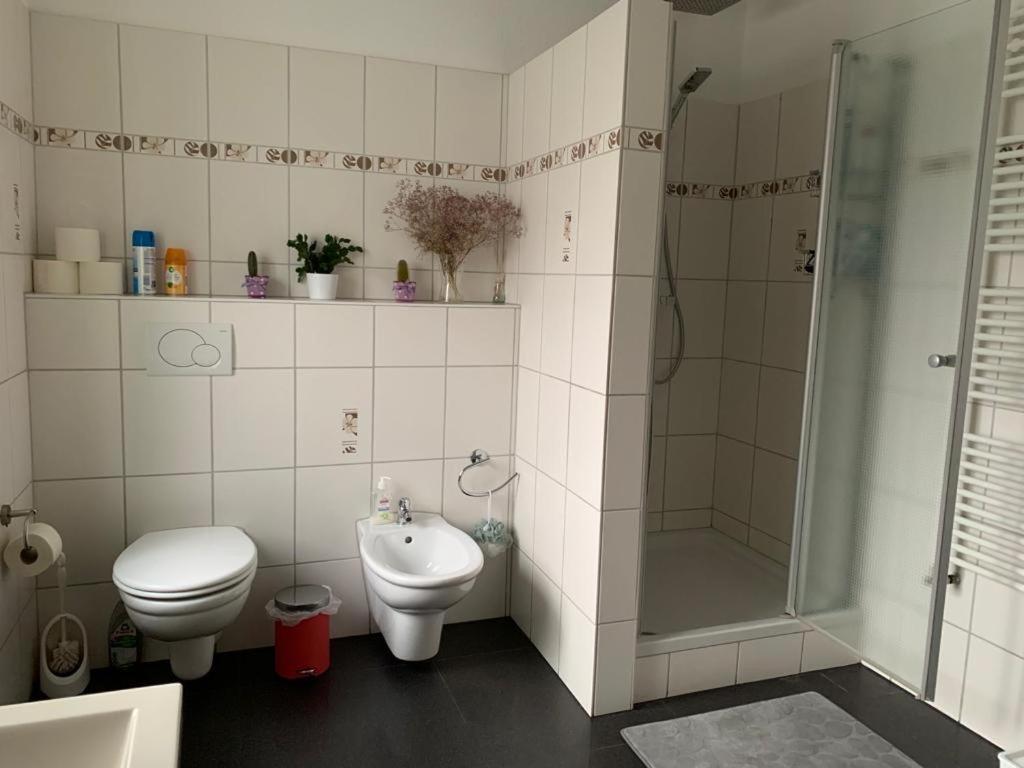 Guenstige Zimmer-Unterkunft Zimmer Mit Gemeinschaftsbad Lörrach Zewnętrze zdjęcie