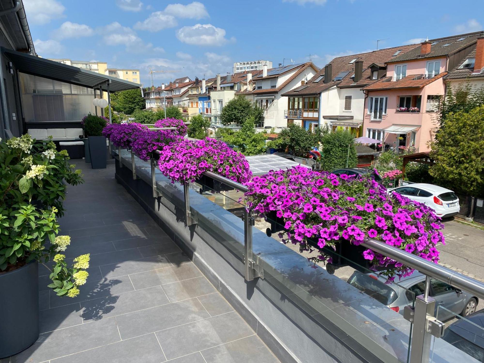 Guenstige Zimmer-Unterkunft Zimmer Mit Gemeinschaftsbad Lörrach Zewnętrze zdjęcie